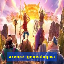 arvore genealogica dos gracie